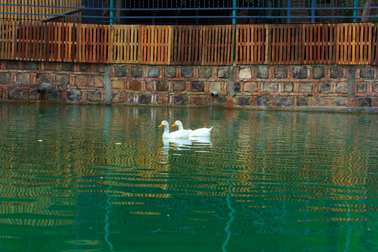 Amiran'S Lake Tbilisi Exteriör bild